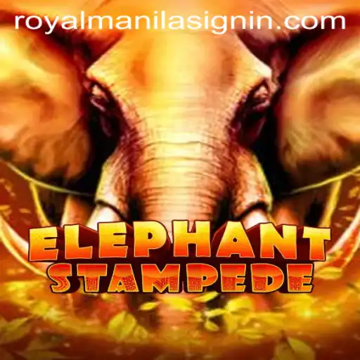 Explore the Thrilling World of ElephantStampede with RoyalManila