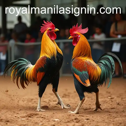 Exploring the World of ROYALMANILA Sabong Games